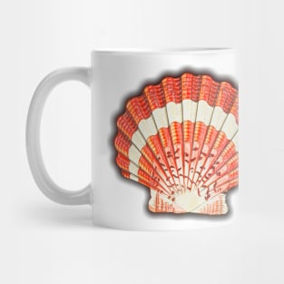 Illustrated sea shell snail. Colorful vintage drawing Mug